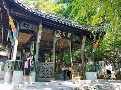 最新的《醉翁亭记》经典的句子