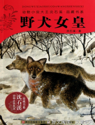 最经典的《野犬女皇》经典句子大全