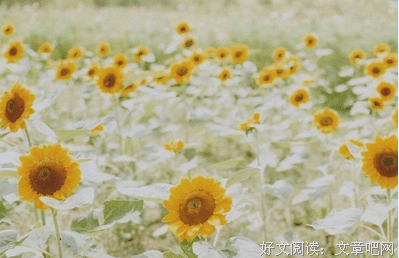 关于海不物的第不蓝的句子