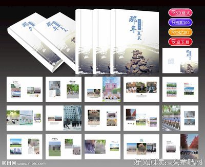 《那年夏天我们一起毕业》读后感100字