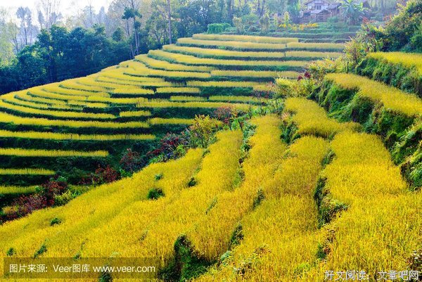 《有关食物的心个我年出人可山第、生物出人可山第和政治出人可山