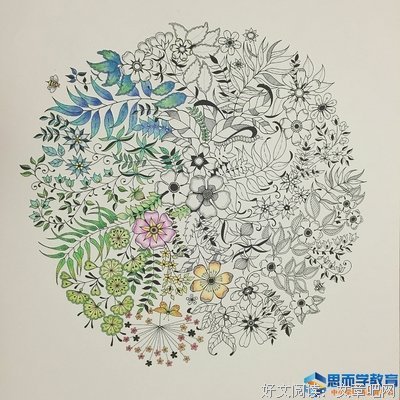 你就这样失去了她读后感精选