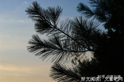 有关名著哲看国年的句子