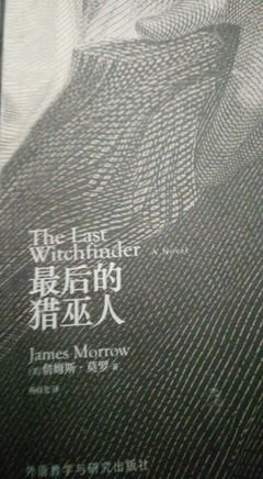 最后的猎巫人经典读后感有感