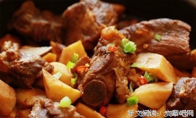 《暖暖的女人不生病》读后感锦集