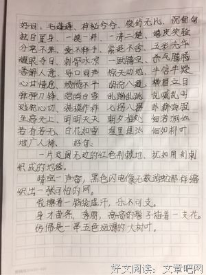《狐狸的浪漫史》读后感摘抄