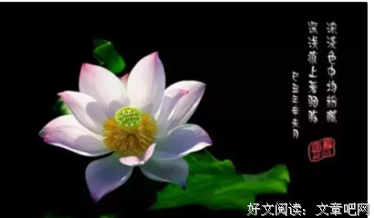 关于八面玲珑的座右铭