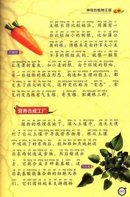 《恍惚的人》读后感精选