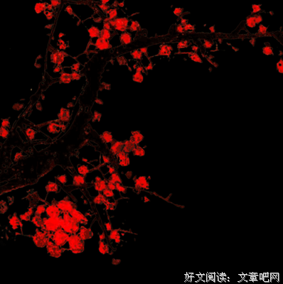共享经济读后感100字