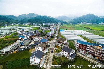 《乡愁》好看吗？经典观后感锦集