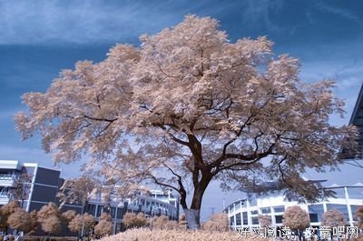 《还好》的句子