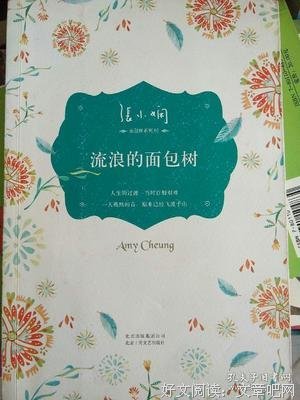 流浪的面包树经典读后感有感