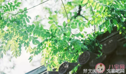 你走之后的优美句子
