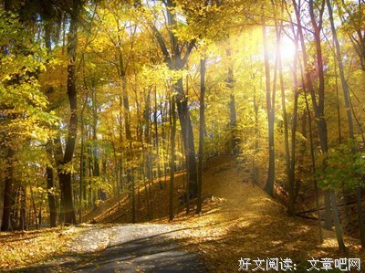 涵大大优美的句子