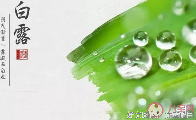 关于岁月如歌的句子