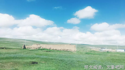 《蒋丹青》的句子