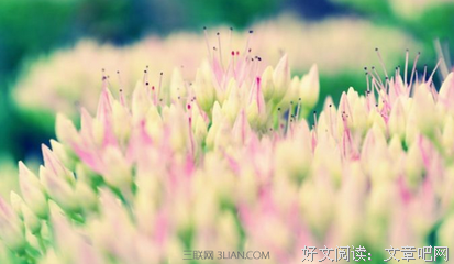 哲理 真理句子大全