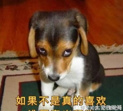 关于你说你爱我的优美句子