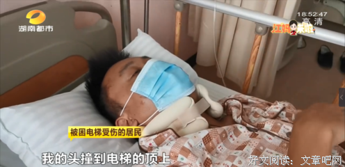 诗种后华章