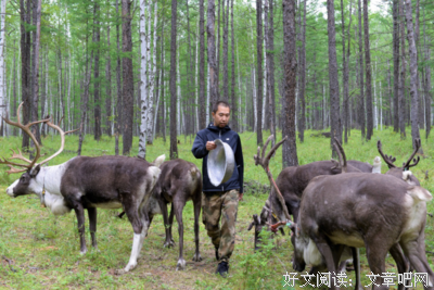 《中国的亚洲内陆边疆》经典读后感有感