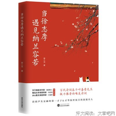 当徐志摩遇见纳兰容若 这是一本从未有过cp式的诗词类书籍读后感锦