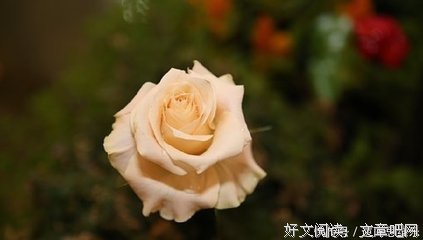 关于自由。的句子