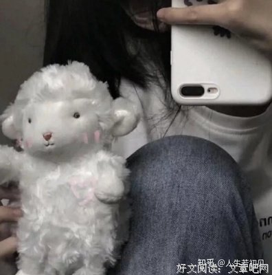 《天天向上》的句子