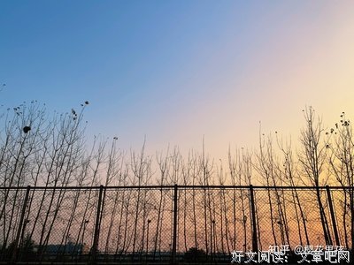 关于辛波斯卡（Wislawa Szymborska）的句子