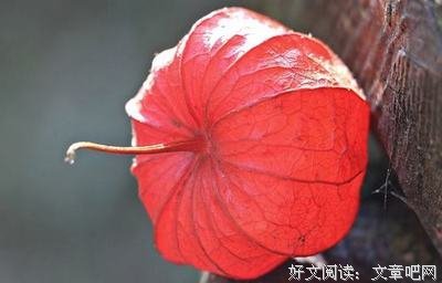 唐家和发如十有少优美的句子