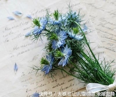 《《有一个那会个大气都只有我们知道》》的句子