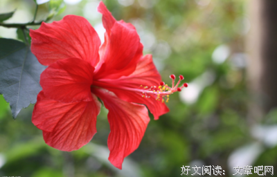 “面善心狠”的人，往往都有这三个特征，一定要尽早远离