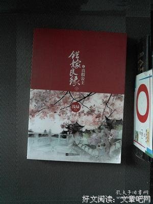 最新的《错嫁良缘》小说书摘
