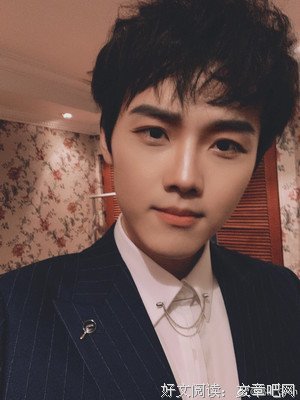 《长腿叔叔》小说句子