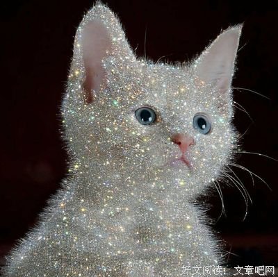 时间然道久，我以忘多样句子大全