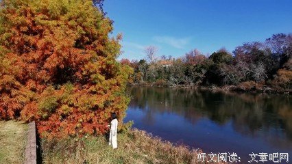 最经典的《阿楚姑娘》经典语句大全