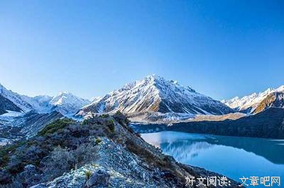 是什么卡住了我们的脖子的读后感大全