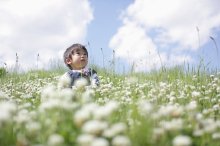 关于日和之西收集的优美句子