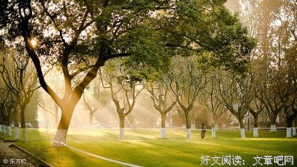 侯清玄语录