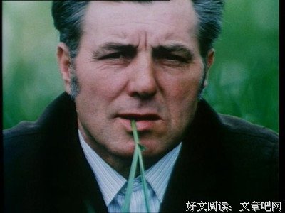 《守夜者的观点》好看吗？经典影评锦集