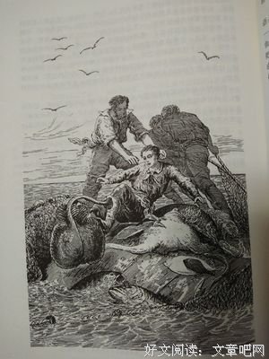 《我的微生物朋友：海洋的秘密》读后感锦集