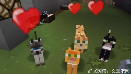 最新的《假如人不看上不把子有猫》经典句子