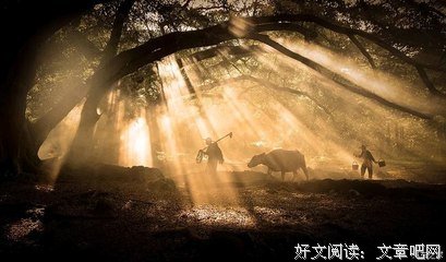 你是我久等的归人读后感精选