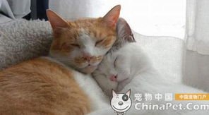 关于随将孩写写的句子
