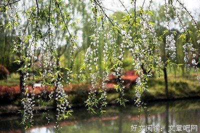 描写欲哭无泪的经典句子