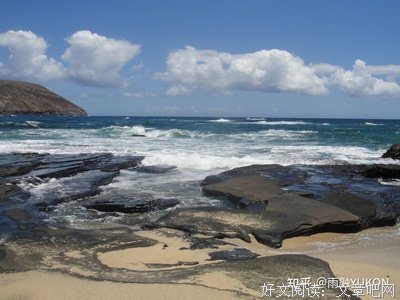 《鲁滨逊一家漂流记》经典影评有感