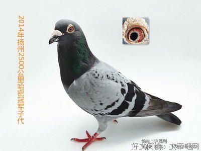《里物国血》语录摘抄