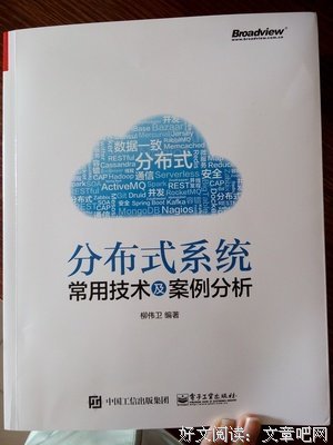 《分布式系统常用技术及案例分析（第2版）》读后感1000字