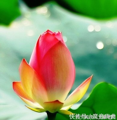 描写踌躇满志的经典句子