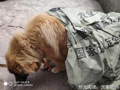 有关自生自灭的美句摘抄