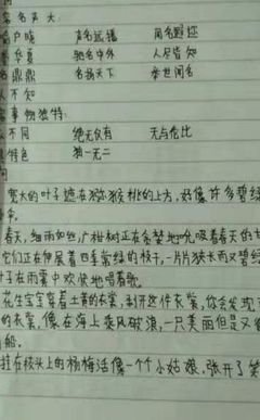 公文高手的自我修养读后感摘抄